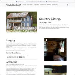 Custom WordPress Website Development Custom WordPress Website Development