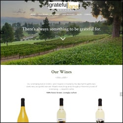 SYN Examples Page Image - Grateful Lane SYN Examples Page Image - Grateful Lane