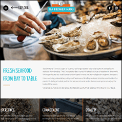 SYN Examples Page - Sea Orchard SYN Examples Page - Sea Orchard