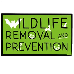 Wildlife Removal and Prevention