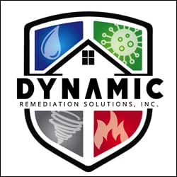 Dynamic Remediation - WordPress Website - Norfolk Web Design - Web Development