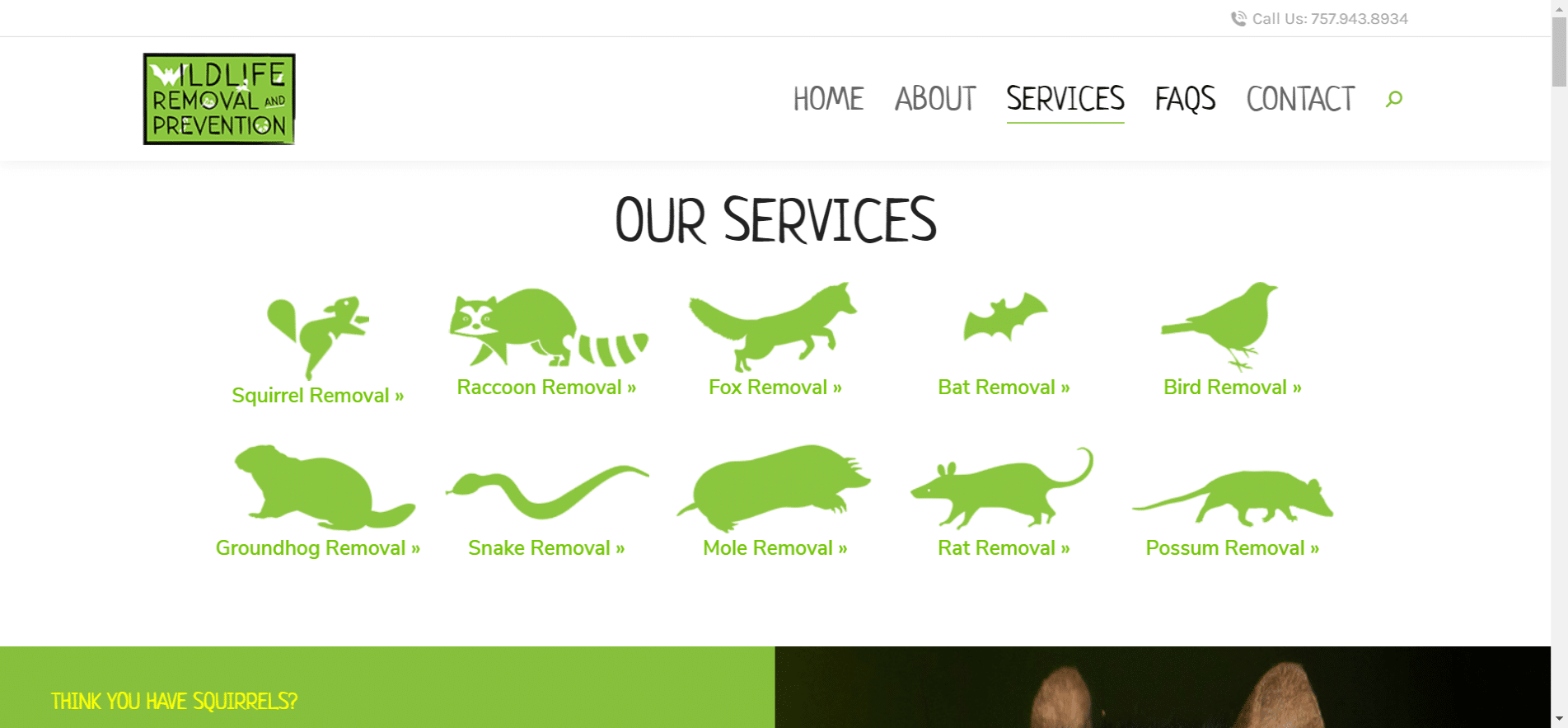 Wildlife Removal 911 - Surf Your Name Website - Animal Removal