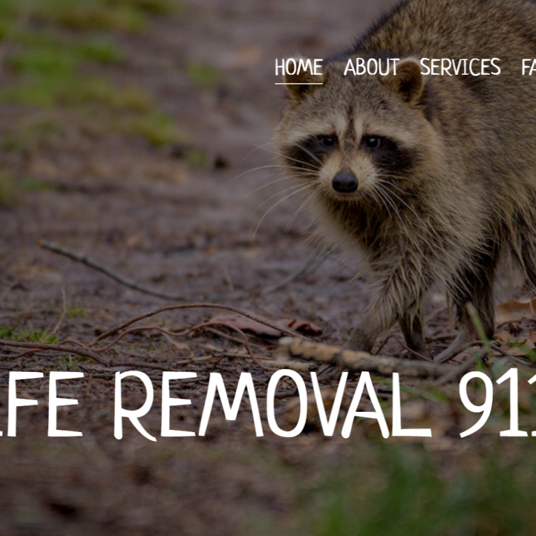 Wildlife-Removal-911-–-Hampton-Roads-Virginia